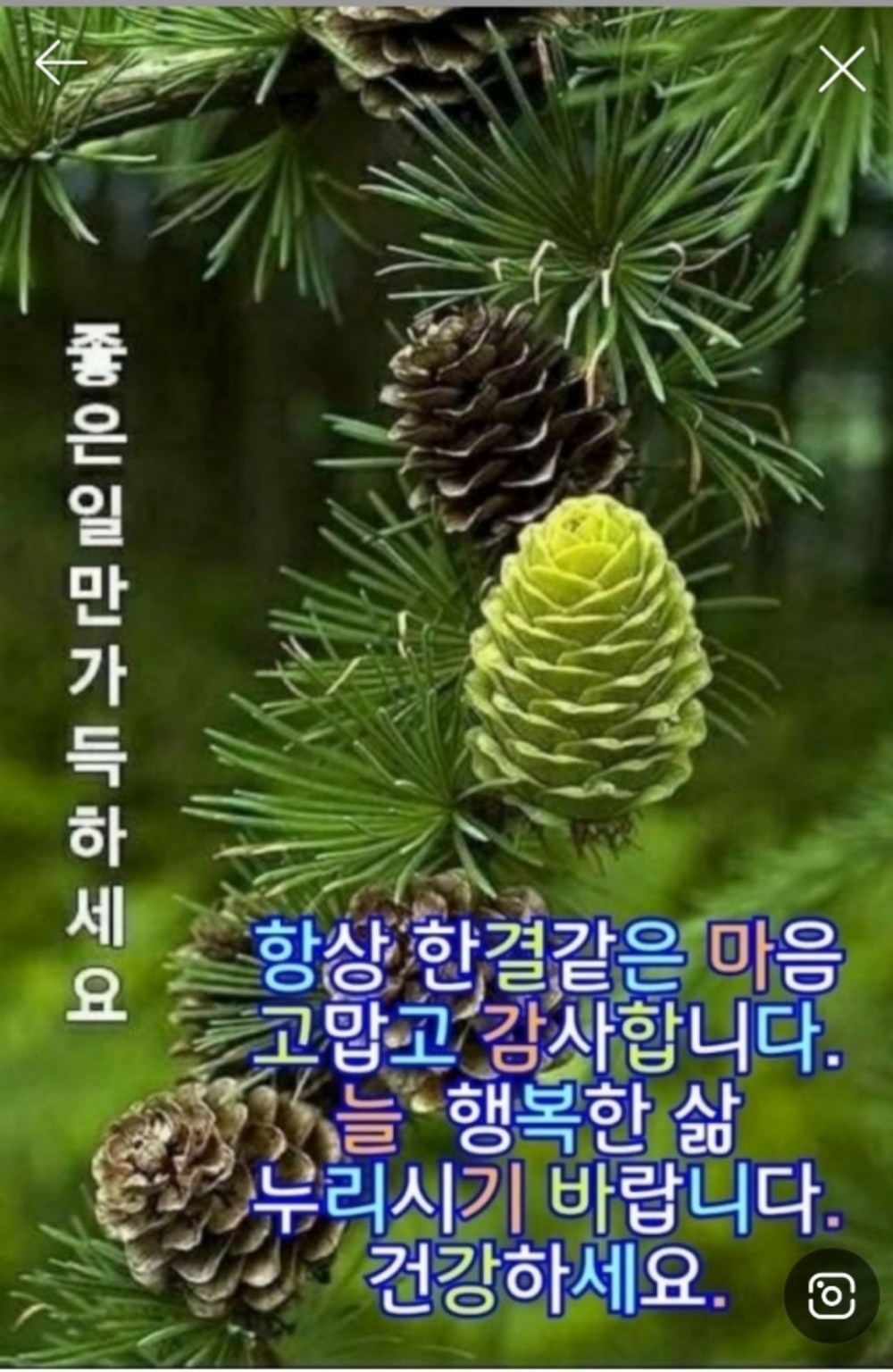 Luminax NEW 가을 남녀 공용 곰돌이 패치 라운드 구매 후기 이미지